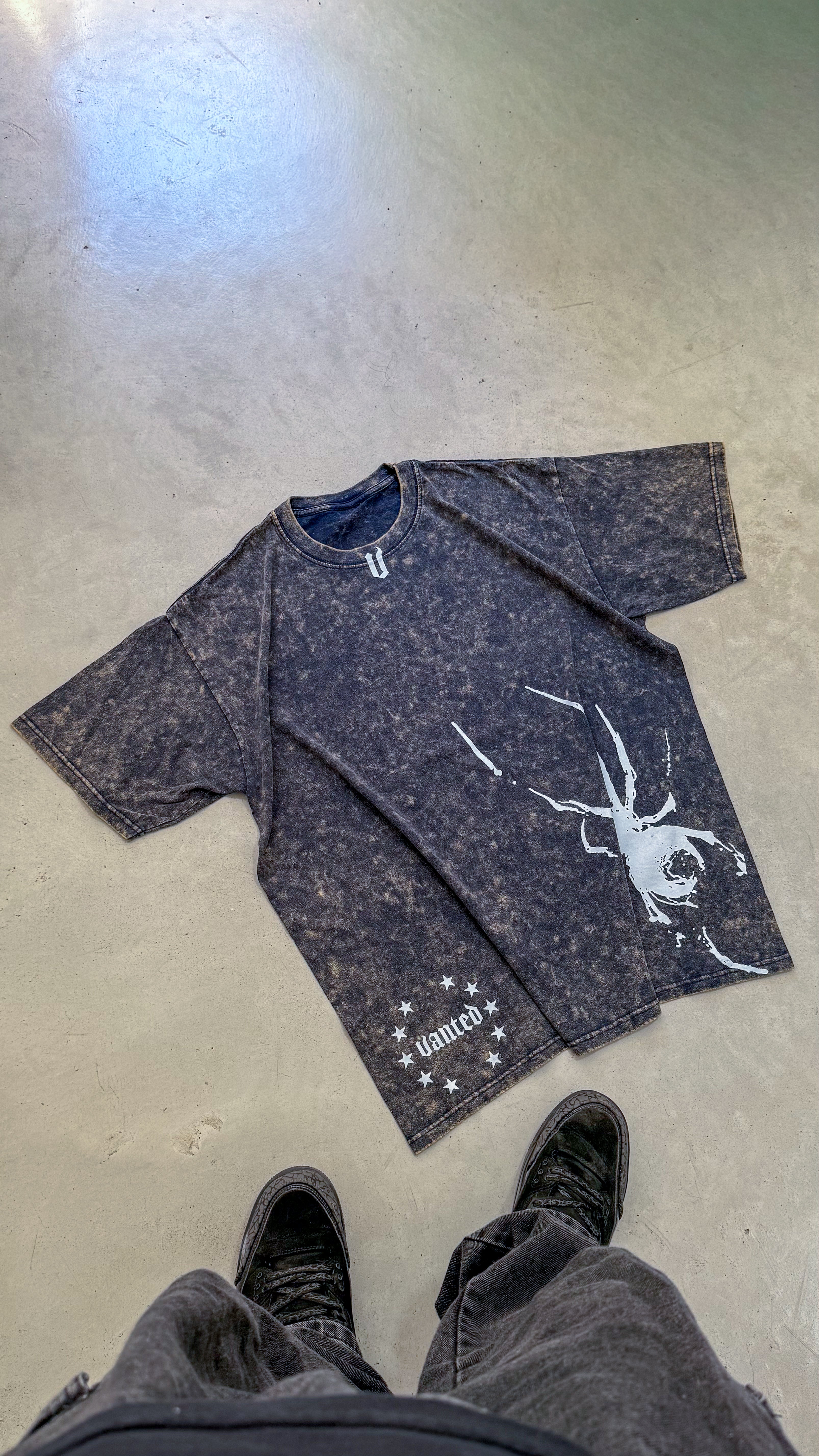 REMERON SPIDER