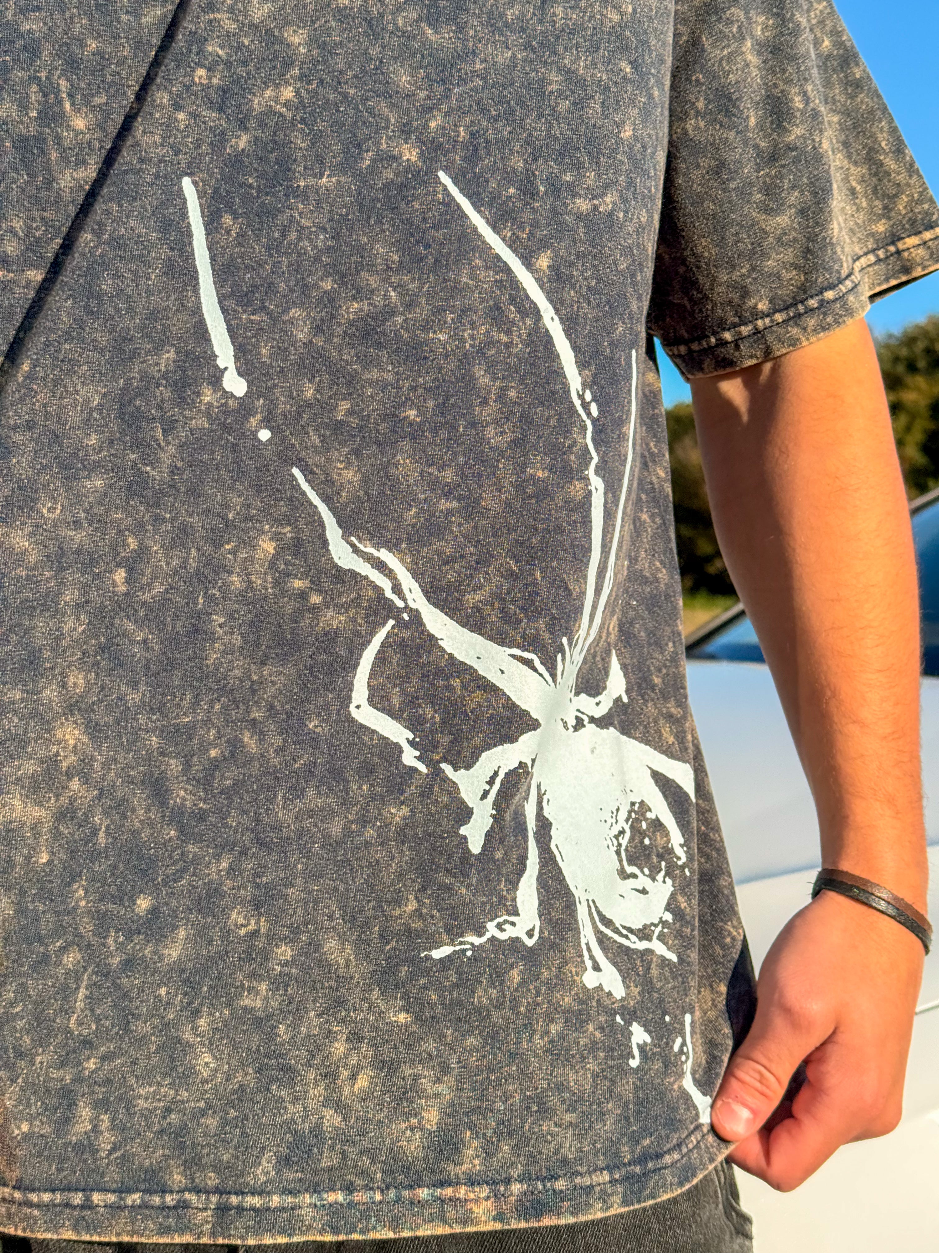 REMERON SPIDER
