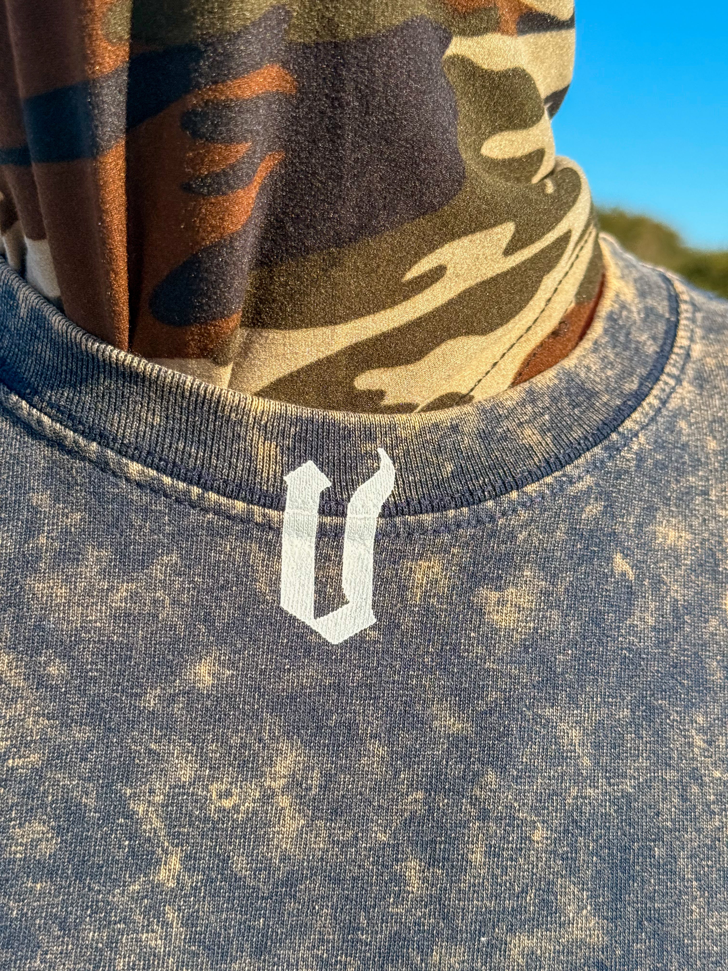 REMERON SPIDER