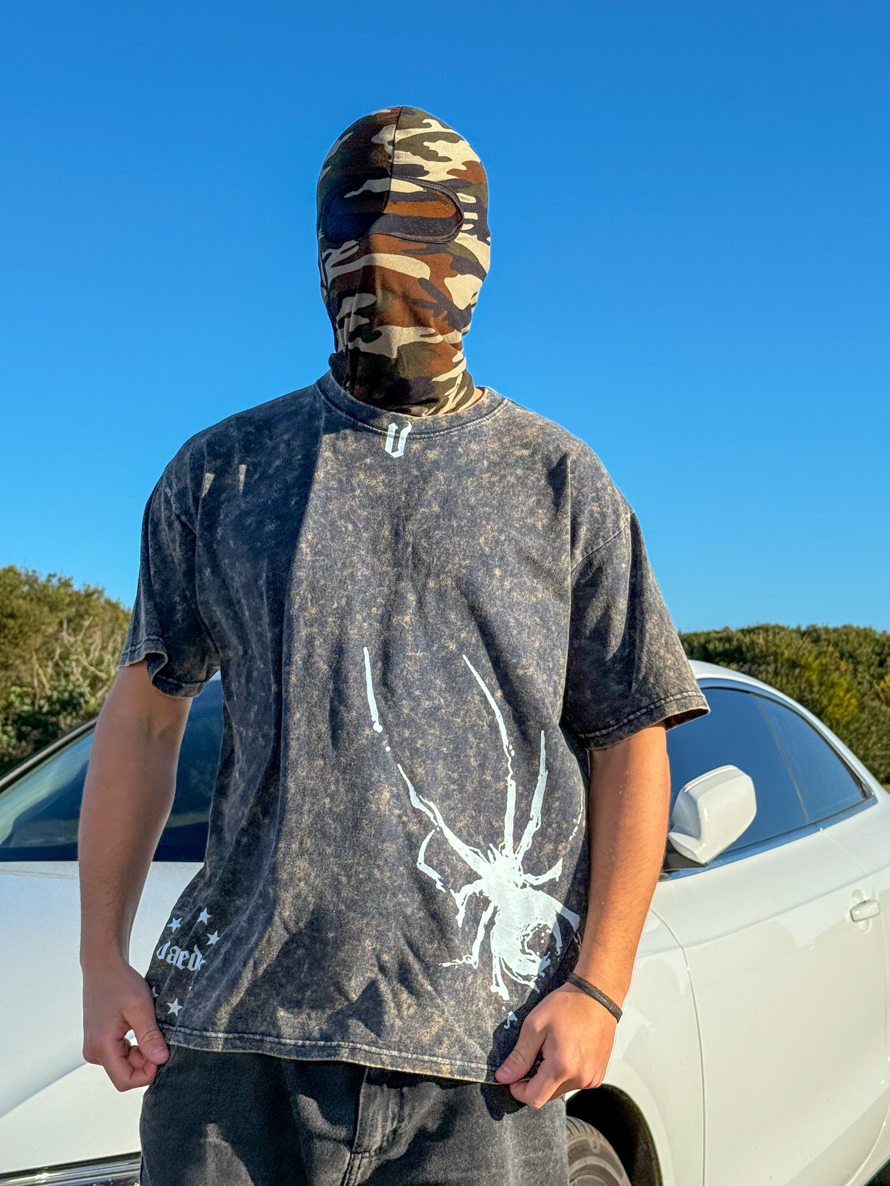 REMERON SPIDER